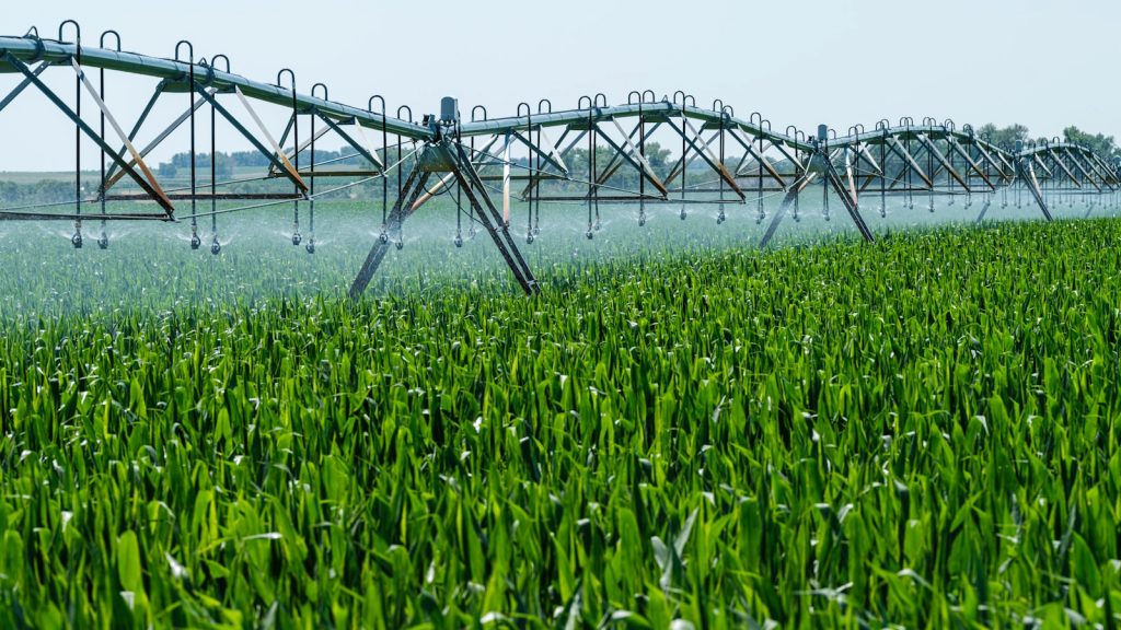 a sprinkler spraying Activated water on a green field