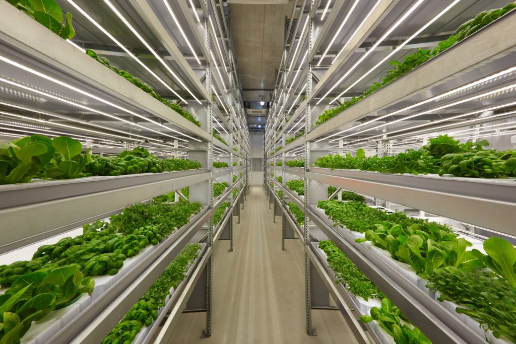 Vertical farm requiring high quality water management 