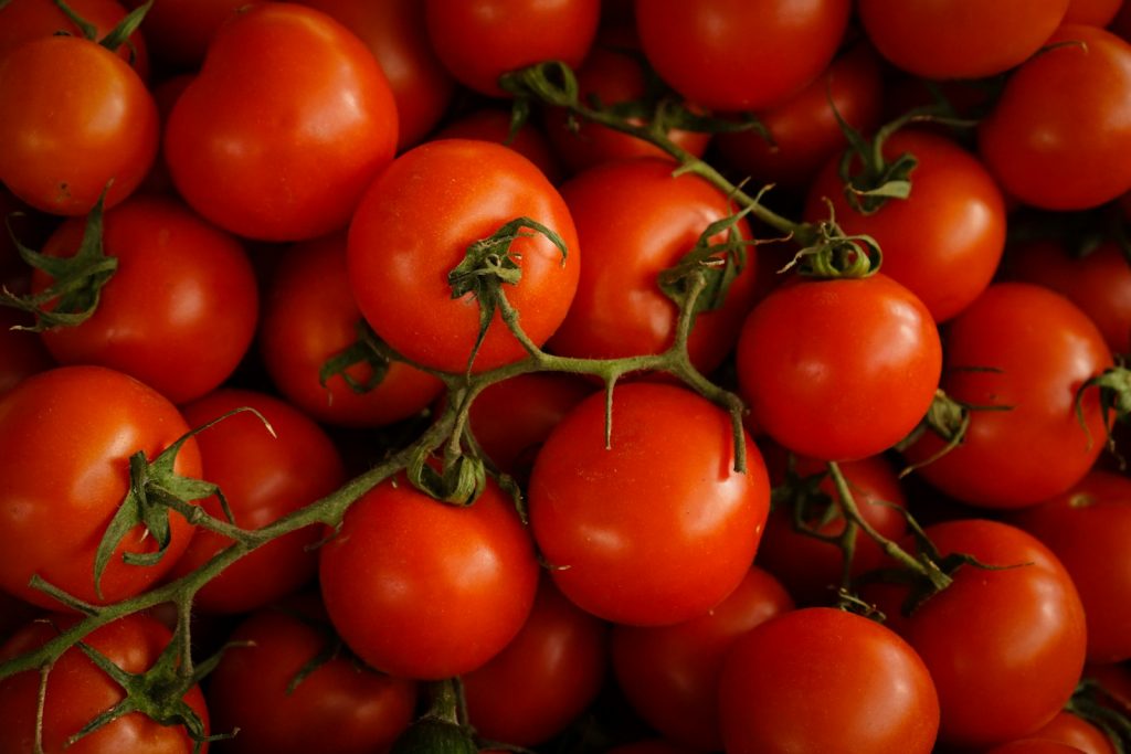 red cherry tomatoes grown in activated soils