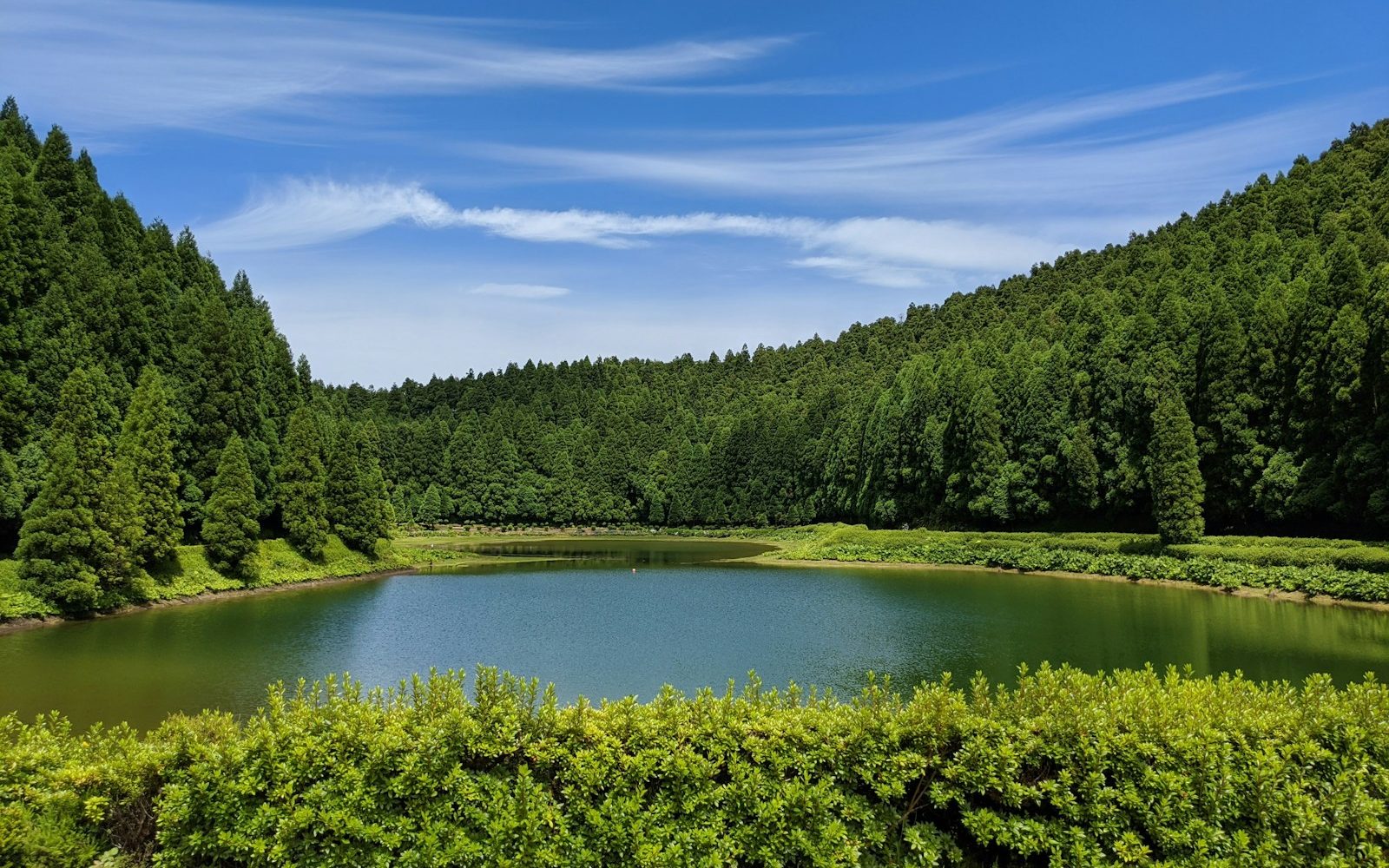 Lake no longer suffering from Algae